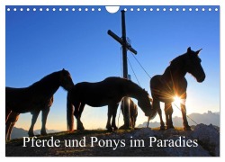 Pferde und Ponys im Paradies (Wandkalender 2026 DIN A4 quer), CALVENDO Monatskalender - Christa Kramer