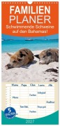 Cover-Bild zum Titel 'Familienplaner 2027 - Schwimmende Schweine auf den Bahamas! mit 5 Spalten (Wandkalender, 21 x 45 cm) CALVENDO' von 'Elisabeth Stanzer'