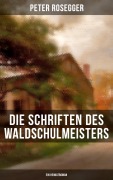 Cover-Bild zum Titel 'Die Schriften des Waldschulmeisters (Ein Heimatroman)' von 'Peter Rosegger'
