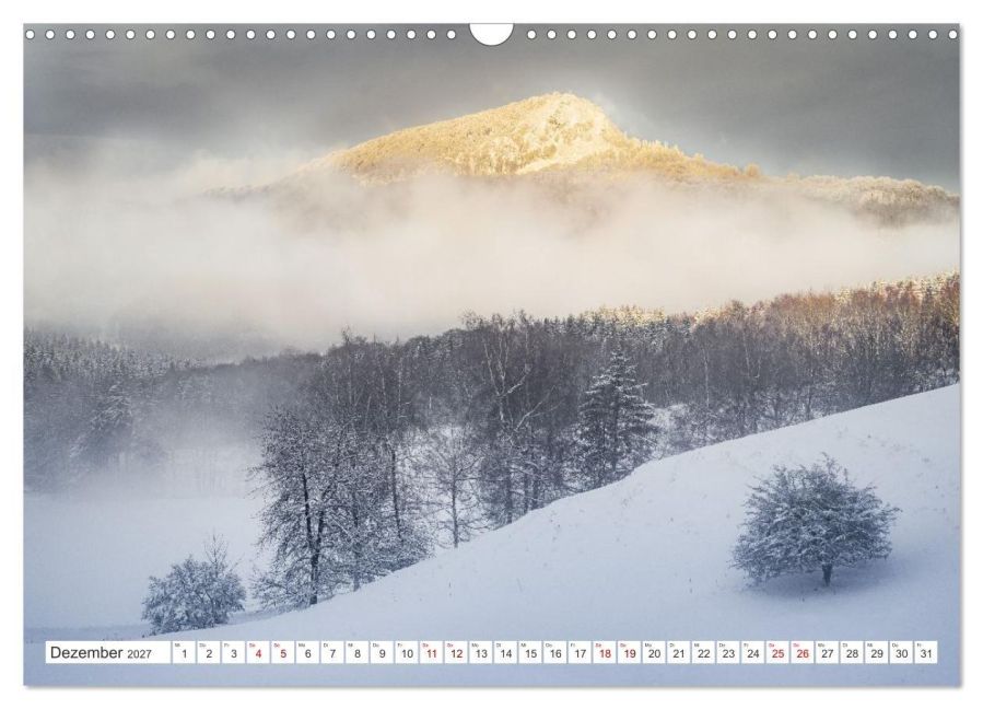 InsideView 4