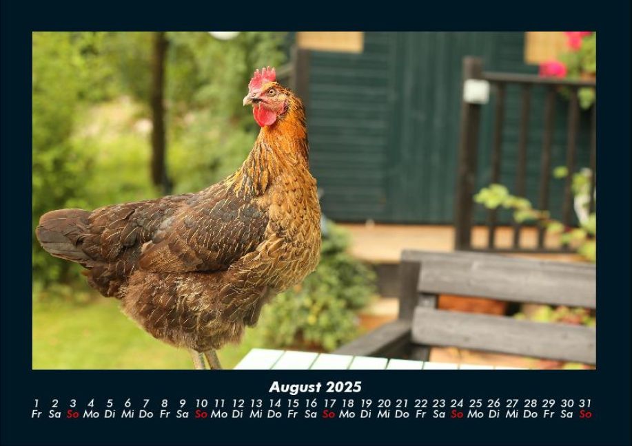 InsideView 12