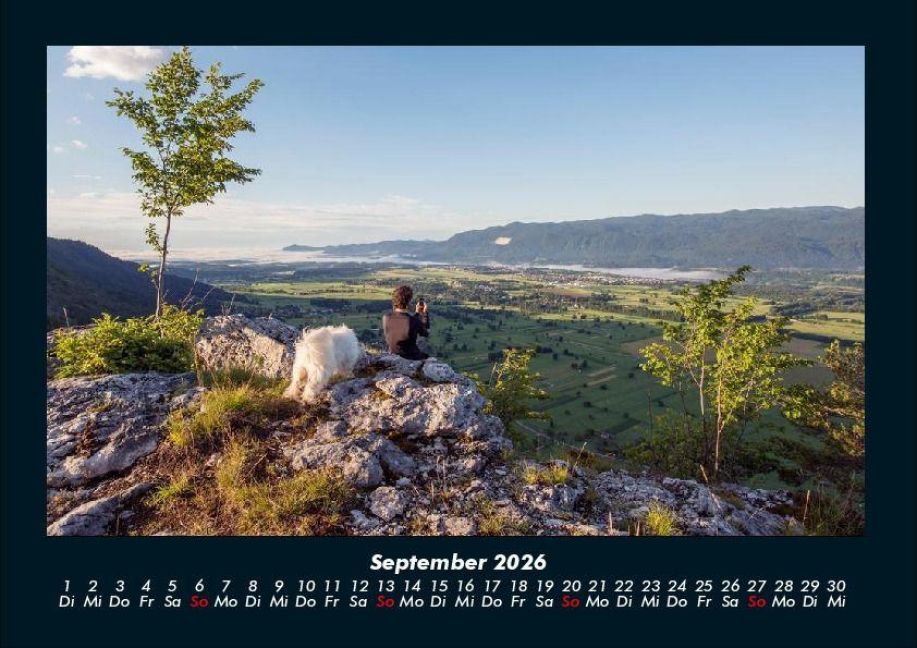 InsideView 1