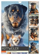 Cover-Bild zum Titel 'Rottweiler. Kraft, Herz und Treue (Wandkalender 2027 DIN A4 hoch), CALVENDO Monatskalender' von 'Rose Hurley'