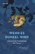 Cover-Bild zum Titel 'Wenn es dunkel wird' von ''