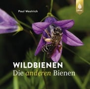 Cover-Bild zum Titel 'Wildbienen, die anderen Bienen' von 'Paul Westrich'