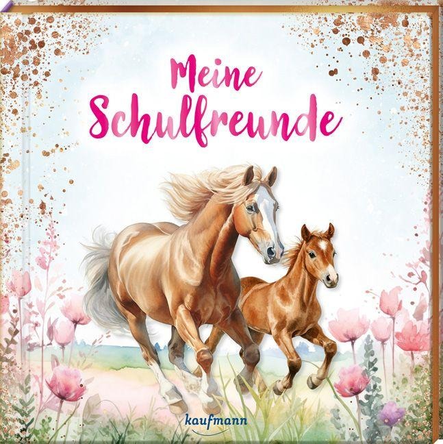 Meine Schulfreunde - 