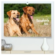 Cover-Bild zum Titel 'Rassehunde (hochwertiger Premium Wandkalender 2026 DIN A2 quer), Kunstdruck in Hochglanz' von 'Judith Dzierzawa'