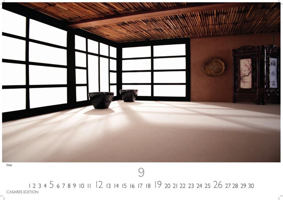 InsideView 9