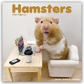 Hamsters - Hamster 2024 - 16-Monatskalender - Avonside Publishing Ltd
