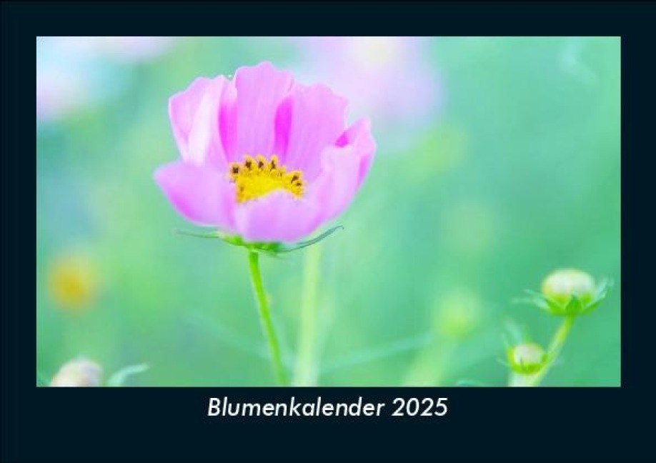 Blumenkalender 2025 Fotokalender DIN A5 - Tobias Becker