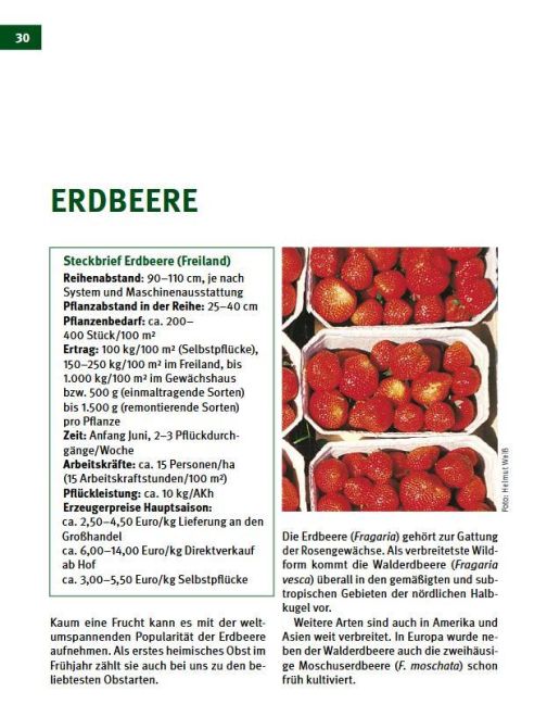 InsideView 7