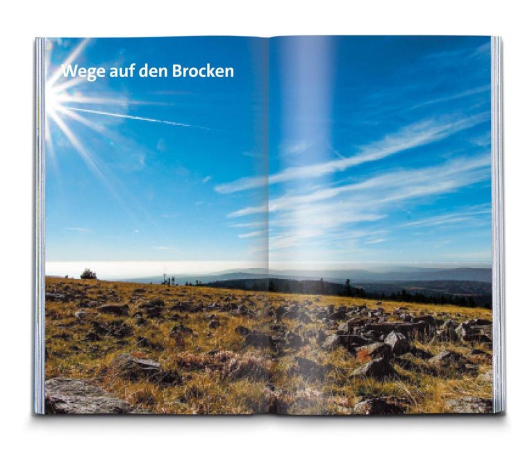 InsideView 29