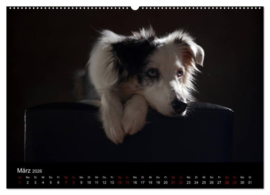 InsideView 7