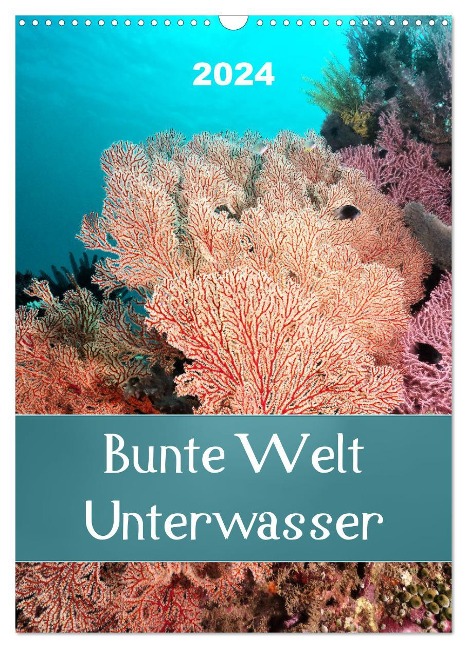 Bunte Welt Unterwasser (Wandkalender 2024 DIN A3 hoch), CALVENDO Monatskalender - Bianca Schumann
