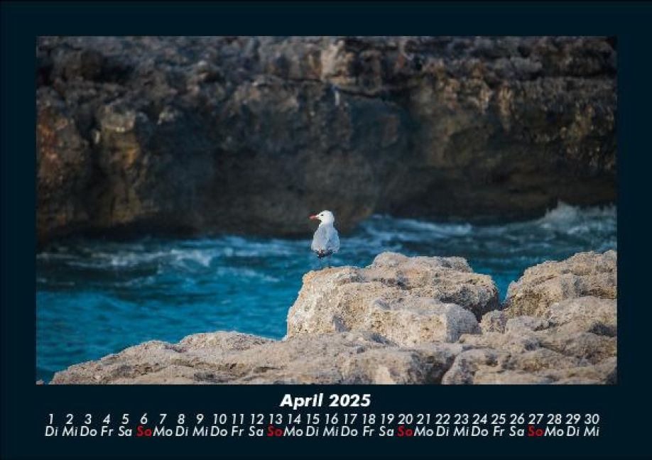 InsideView 8