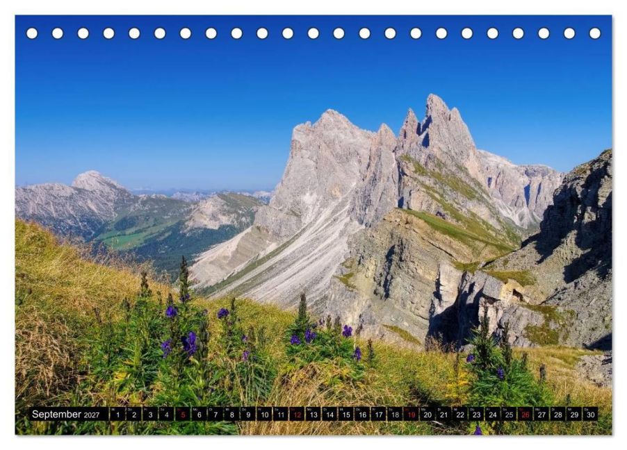InsideView 14