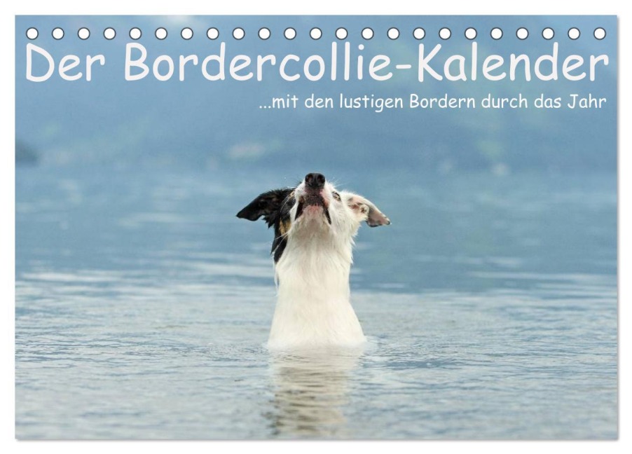 Der Bordercollie-Kalender (Tischkalender 2025 DIN A5 quer), CALVENDO Monatskalender - Kathrin Köntopp