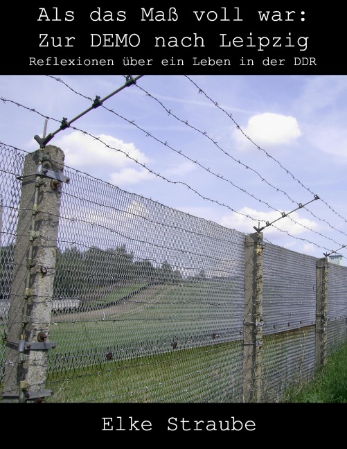 Als das Maß voll war: Zur Demo nach Leipzig - Christian Anders, Elke Straube