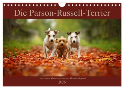 Cover-Bild zum Titel 'Die Parson-Russell-Terrier ...mit neuen Abenteuern aus der Hundeknipserei (Wandkalender 2026 DIN A4 quer), CALVENDO Monatskalender' von 'Kathrin Köntopp'