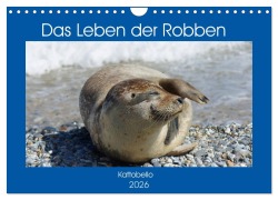 Cover-Bild zum Titel 'Das Leben der Robben (Wandkalender 2026 DIN A4 quer), CALVENDO Monatskalender' von 'Kattobello Kattobello'
