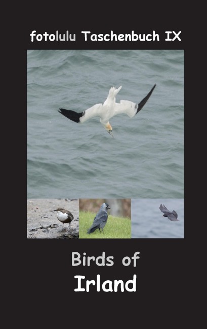 Birds of Irland - Fotolulu