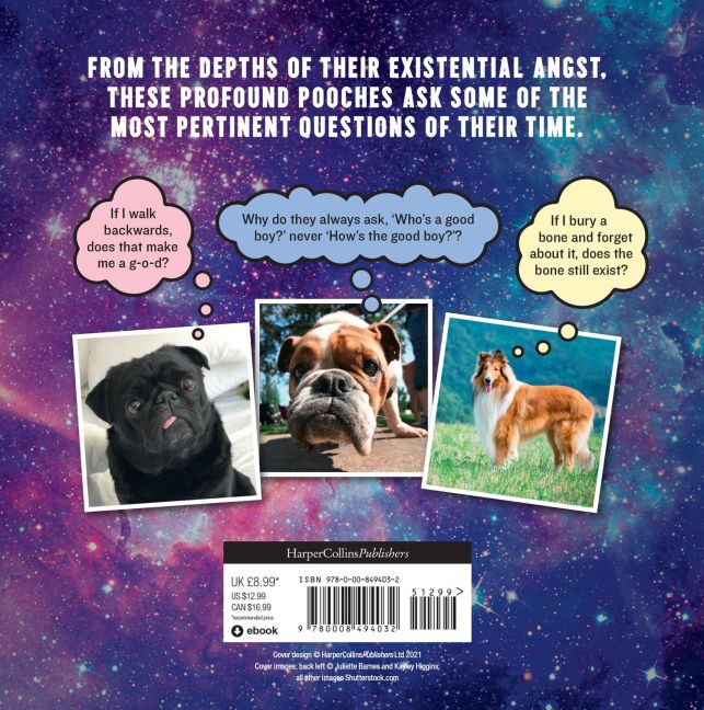 InsideView 14