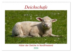 Cover-Bild zum Titel 'Deichschafe - Hüter der Deiche in Nordfriesland (Wandkalender 2026 DIN A2 quer), CALVENDO Monatskalender' von 'Manuela Falke'