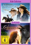 Cover-Bild zum Titel 'Das Geheimnis des Ponys & Midnight Stallion - Der König der Pferde' von 'Sebastian Dinwiddie Mark Stouffer, Harry Manfredini Chris Ainscough'