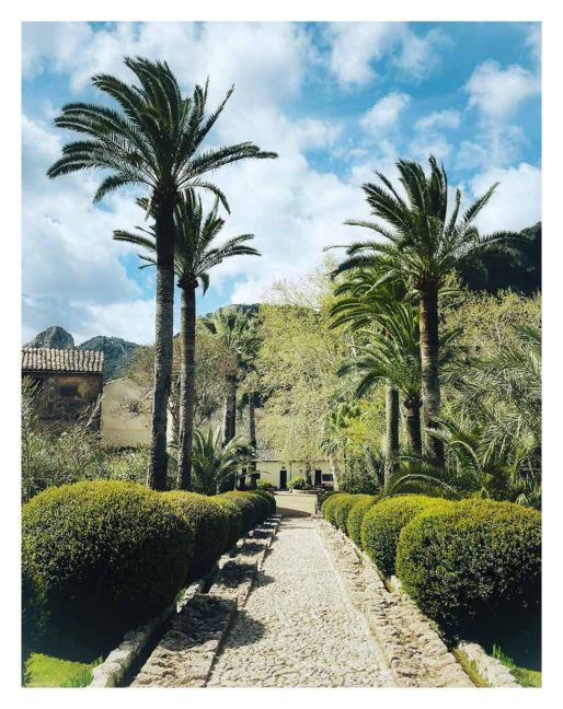 InsideView 24