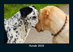 Cover-Bild zum Titel 'Hunde 2025 Fotokalender DIN A5' von 'Tobias Becker'