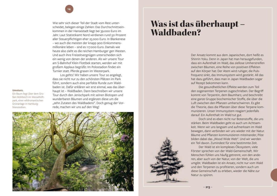 InsideView 7