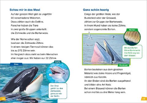 InsideView 7