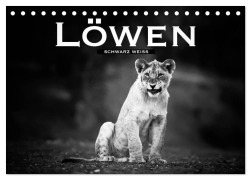 Cover-Bild zum Titel 'Löwen schwarz weiß (Tischkalender 2026 DIN A5 quer), CALVENDO Monatskalender' von 'Robert Styppa'