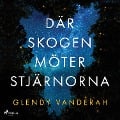 Cover-Bild zum Titel 'Där skogen möter stjärnorna' von 'Glendy Vanderah'