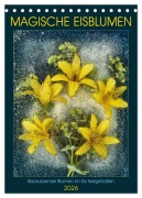 Cover-Bild zum Titel 'Magische Eisblumen (Tischkalender 2026 DIN A5 hoch), CALVENDO Monatskalender' von 'Harald Richter'