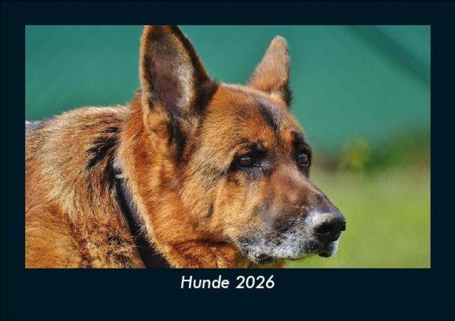 Hunde 2026 Fotokalender DIN A5 - Tobias Becker