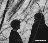 Cover-Bild zum Titel 'Lines We Gather' von 'Sarah/Houston Saviet'