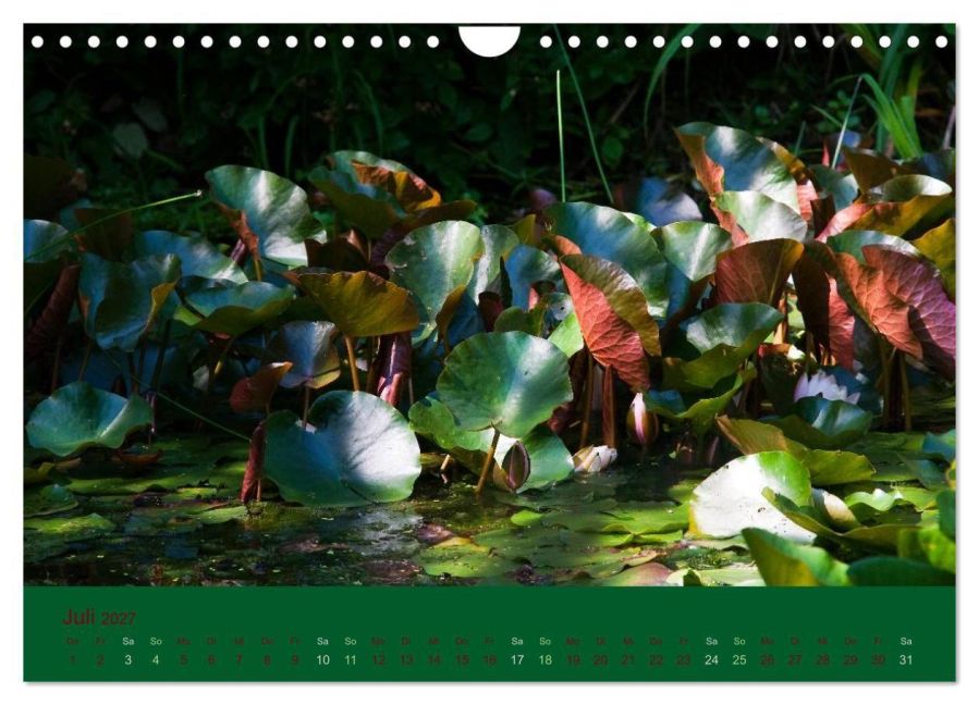 InsideView 12