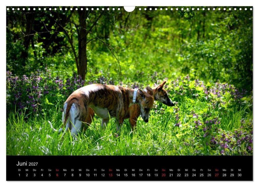 InsideView 11