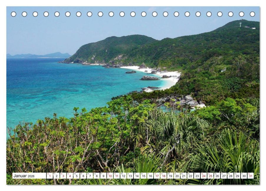 InsideView 6
