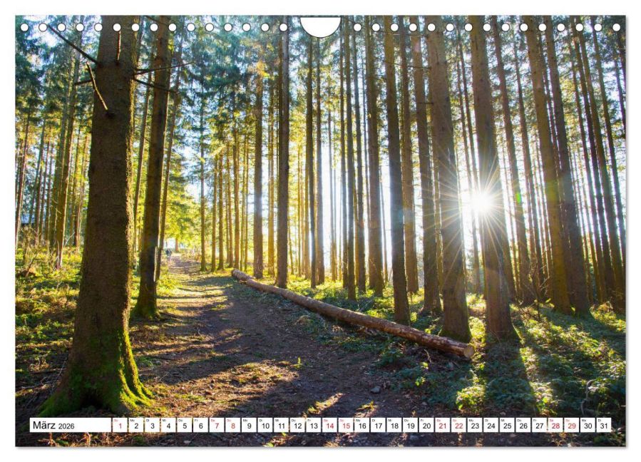 InsideView 8