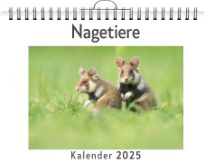 Cover-Bild zum Titel 'Nagetiere - (Wandkalender 2025, Kalender DIN A4 quer, Monatskalender im Querformat mit Kalendarium, das perfekte Geschenk)' von 'Olivia Zimmermann'