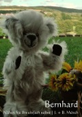 Cover-Bild zum Titel 'Bernhard' von 'Bernd Münch'