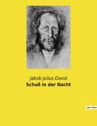 Cover-Bild zum Titel 'Schuß in der Nacht' von 'Jakob Julius David'