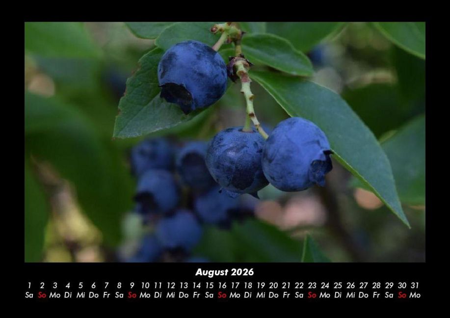 InsideView 12