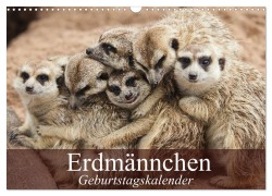 Erdmännchen (Wandkalender 2026 DIN A3 quer), CALVENDO Monatskalender - Elisabeth Stanzer