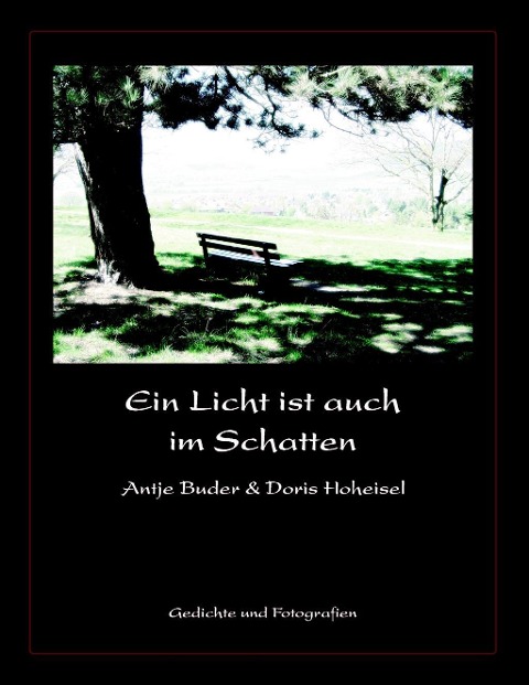 Ein Licht ist auch im Schatten - Antje Buder, Doris Hoheisel