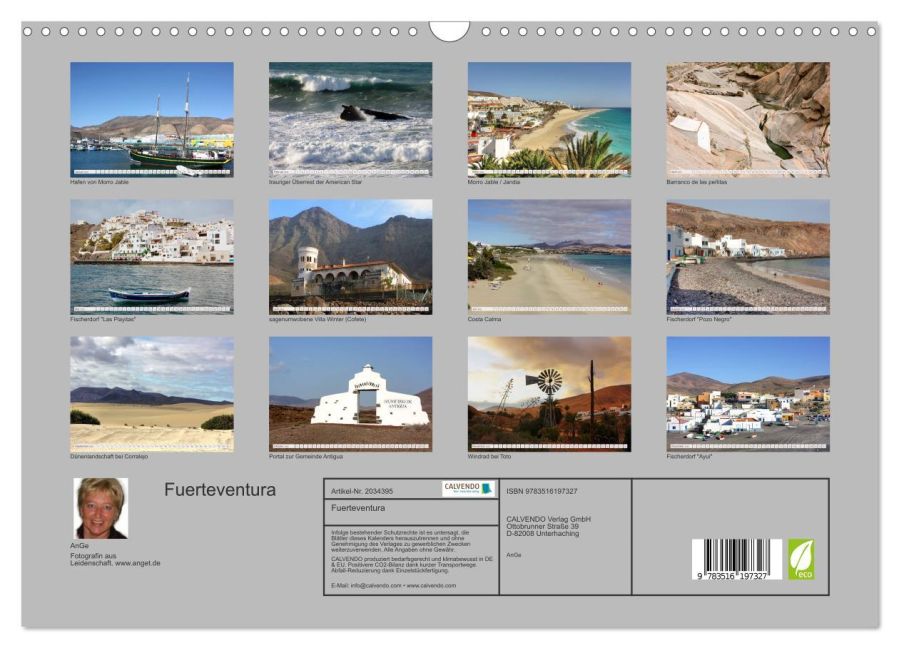 InsideView 5