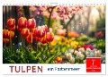 Tulpen - ein Farbenmeer (Wandkalender 2025 DIN A4 quer), CALVENDO Monatskalender - Peter Roder