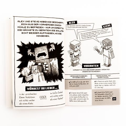 InsideView 4